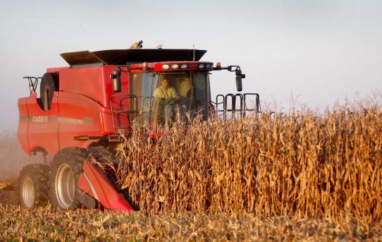 Is U.S. Farm Policy Feeding The Obesity Epidemic? – NPR