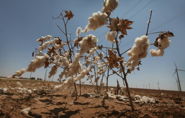 The Farmer’s Plight Part 2: Rural America’s Nightmare–Again