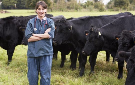 Farm Babe: Antibiotic resistance from livestock to humans, easily explained – AGDAILY.COM