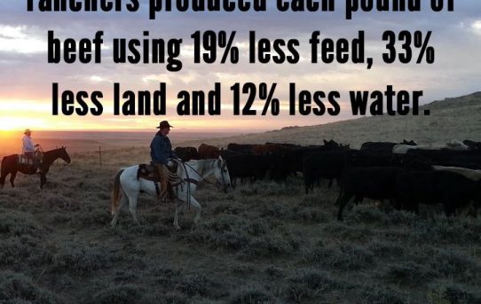 Ranchers, the true conservationists – Animal Agriculture Alliance