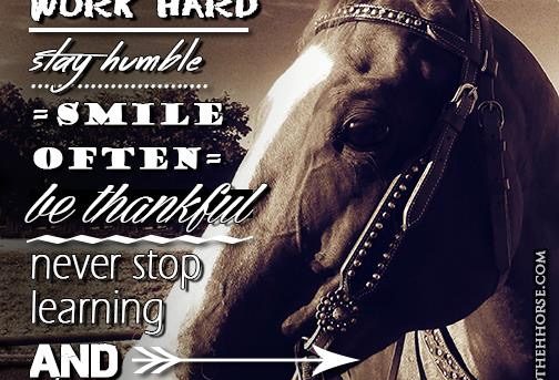 Never Stop Learning – Road to the Horse