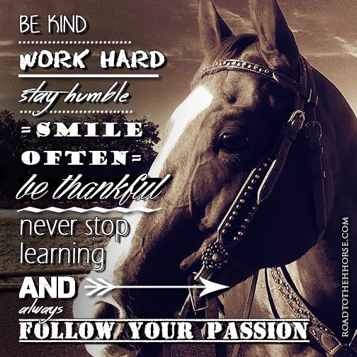 Never Stop Learning - Road to the Horse