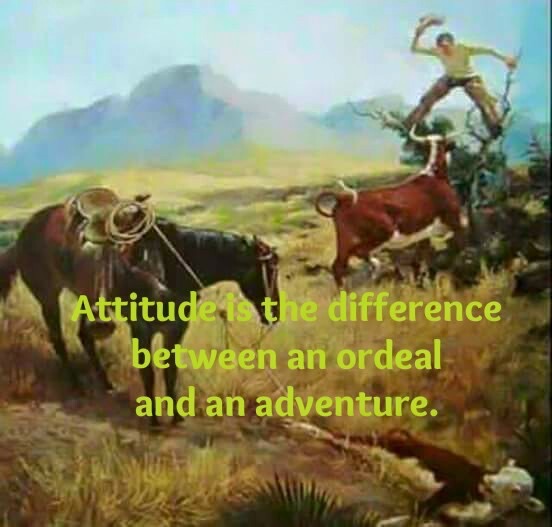 Always Seek the Adventure