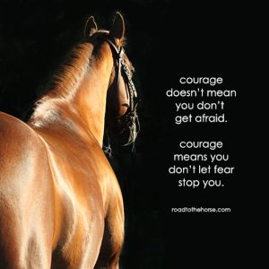 You Just Cant See Him From the Road - Ranching Truth