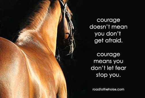 Courage – Road to the Horse