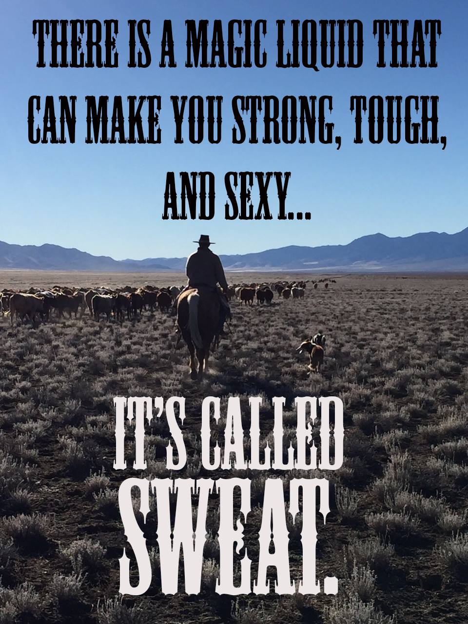 Sweat is a magical liquid